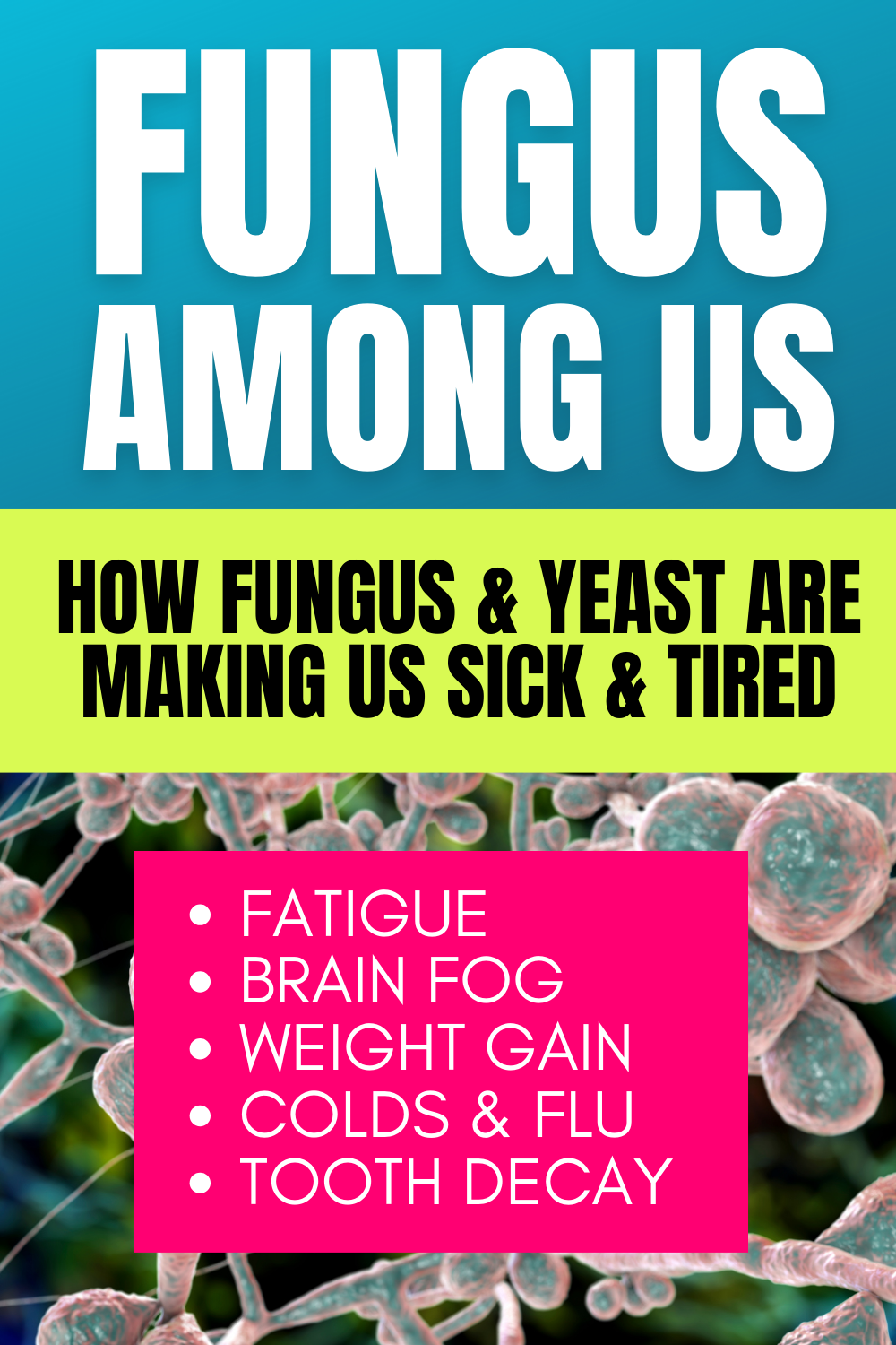 Fungus Among Us (Video)