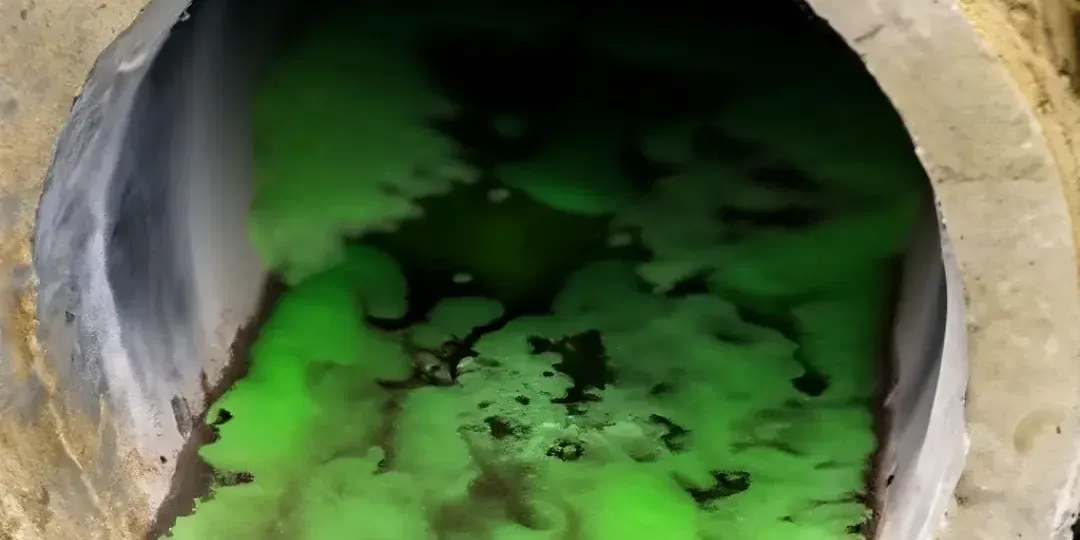 (Day 20) Detox & Heal: Chapter 4: What is Biofilm? Also Known As “The Swamp”