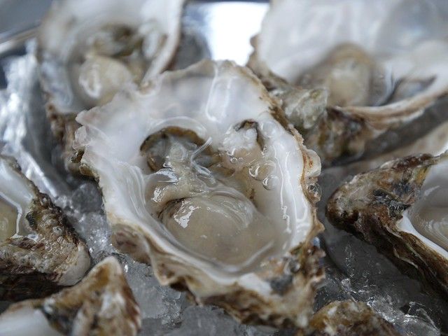 Oyster