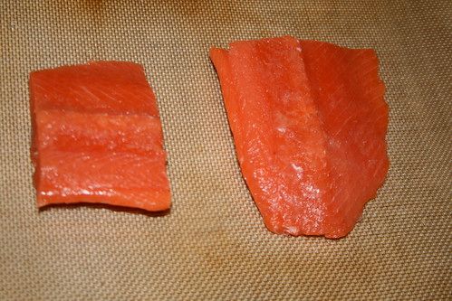 Wild Salmon