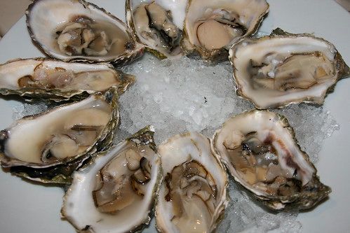 Oysters on the half shell