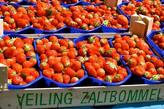 Strawberries at the farmer's market in Holland