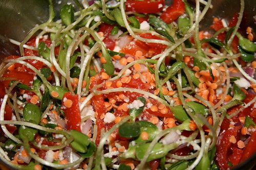 Sunflower and Lentil Sprout Salad