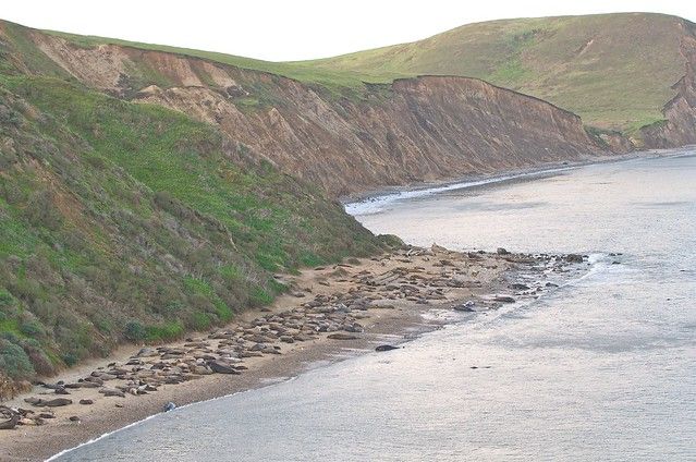 Drakes Bay