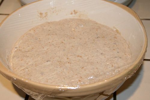 Sourdough Bread After Fermenting For 19 Hours