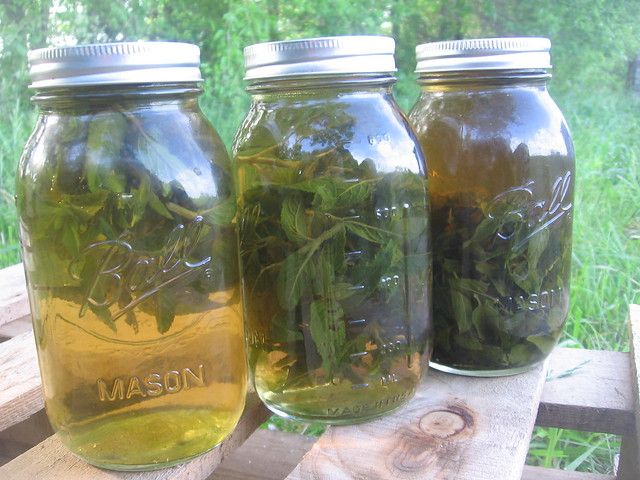 herbal infusions