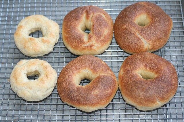 Overproofed Bagels and Correctly Proofed Bagels