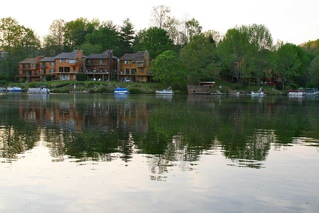 Kimberly Hartke's backyard