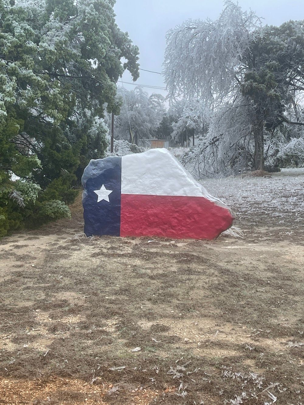 Texas Snow Days