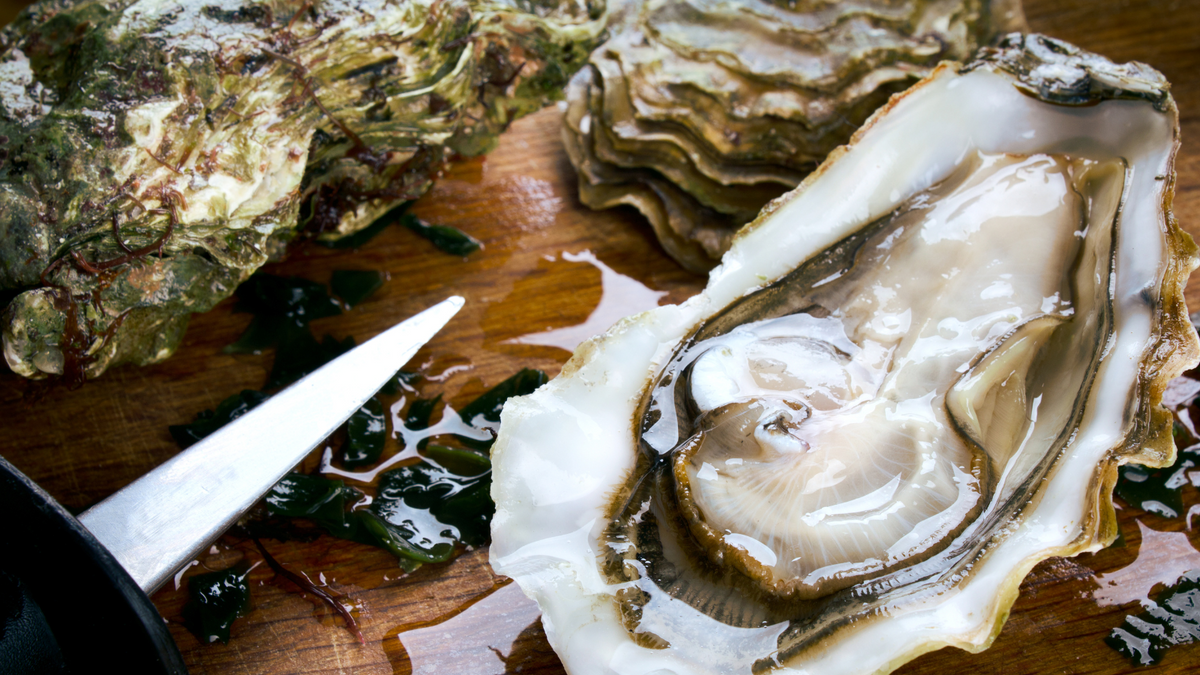 Oysters for Breakfast at the Farmer’s Market