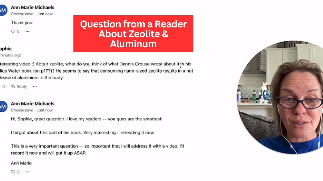 Question from a Reader About Zeolite & Aluminum (Video)