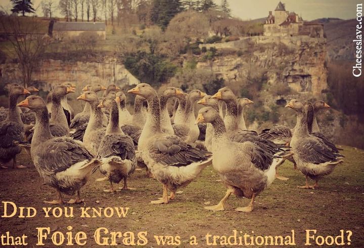 Foie Gras is a Traditional Food