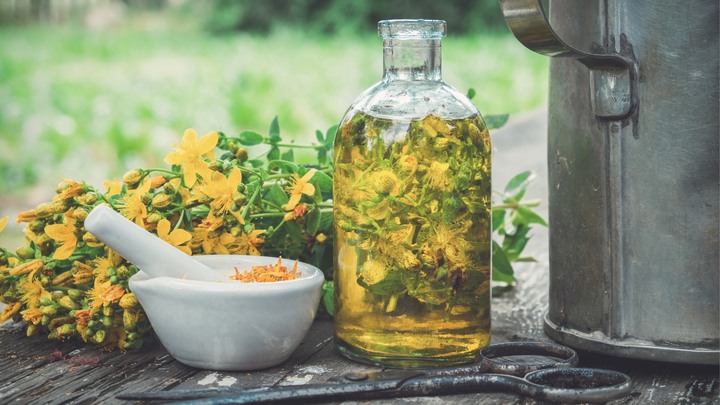 Herbal Infusions for Fertility and Hormone Balancing