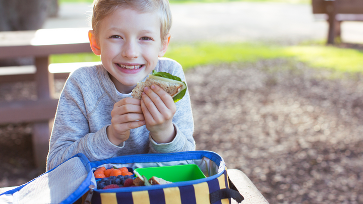 Healthy Lunch Ideas for Kids: How to Pack a Brown Bag Lunch