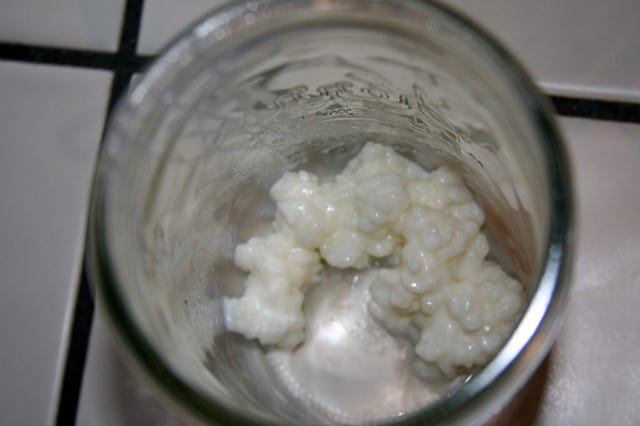 How To Make Kefir 2