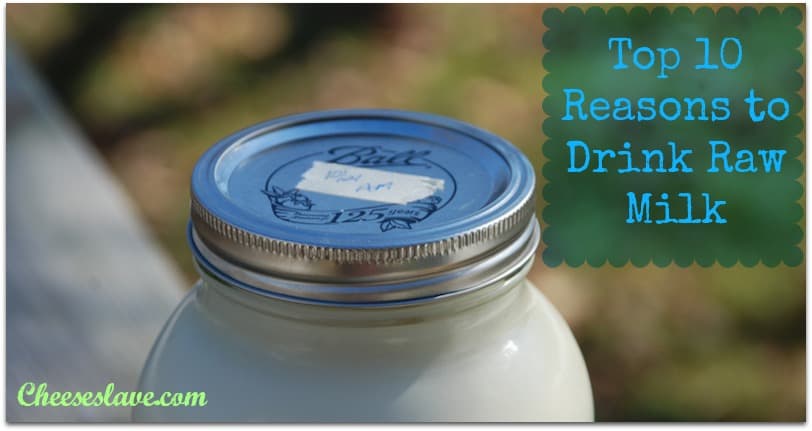 Top 10 Reasons To Drink Raw Milk