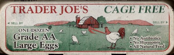 Trader Joe's egg carton