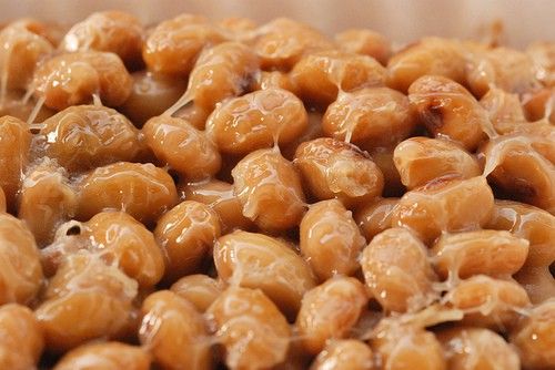 Japanese fermented soybeans or natto