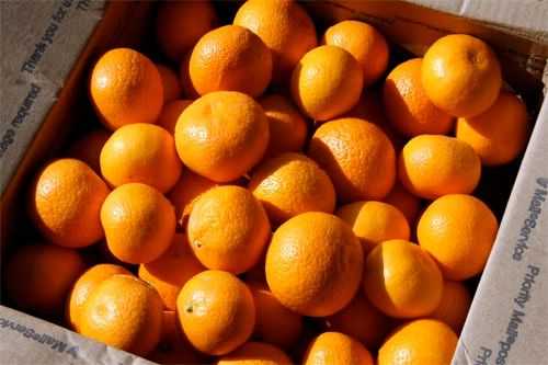 mandarin-oranges