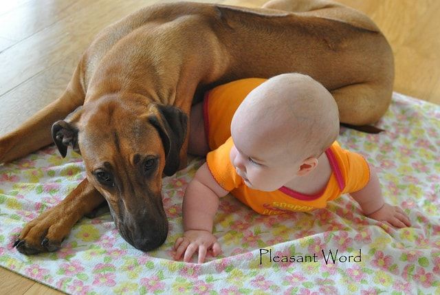 Granola Mom 4 God: Helpers in the kitchen