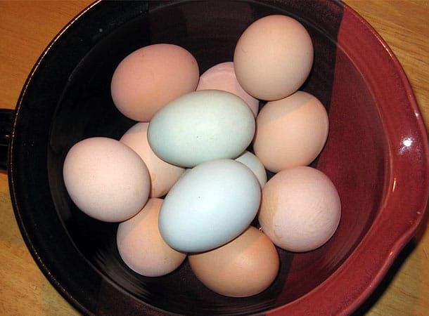 Radically Natural Living: More eggs!