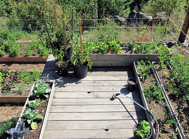 Radically Natural Living: Herb garden
