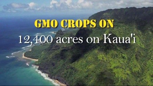 Watch Stop Monsanto from Poisoning Hawai'i for Free