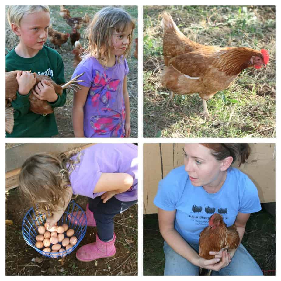 Glamping (Glamorous Camping) Trip at Chaffin Orchards 