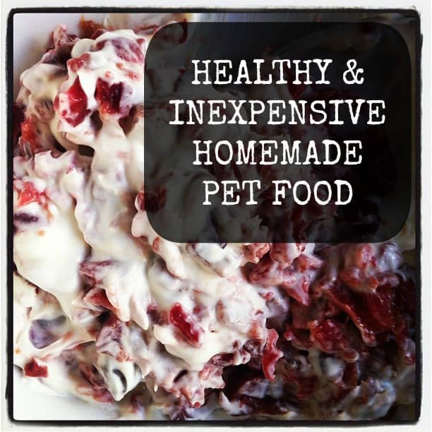 Healthy and Inexpensive Homemade Pet Food @cheeseslave