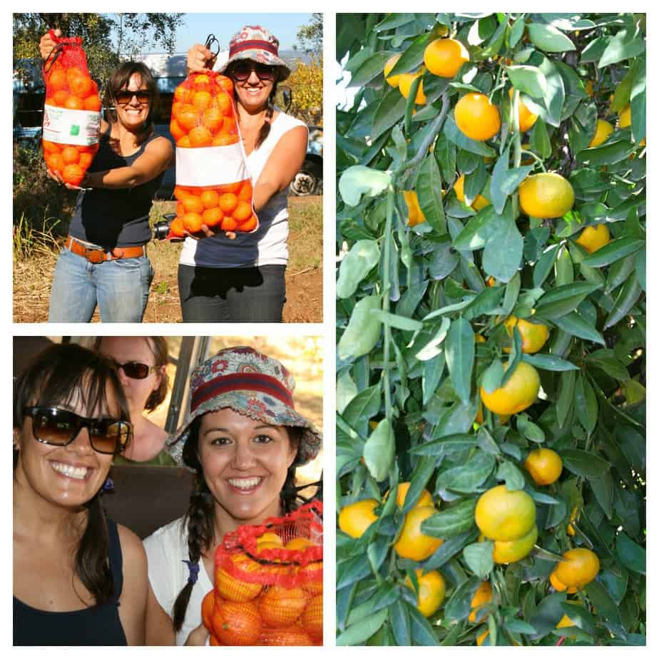 Glamping (Glamorous Camping) Trip at Chaffin Orchards 