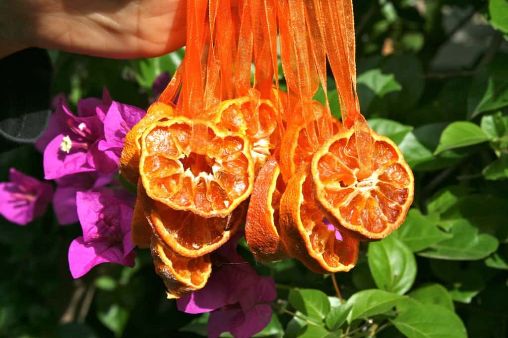 Dried Orange Chrismas Ornaments from @Cheeseslave