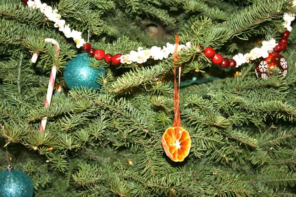 Dried Orange Christmas Ornament from @Cheeseslave