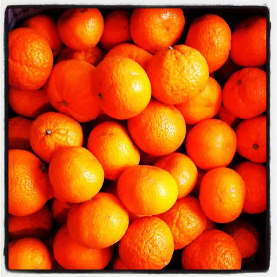Oranges from Chaffin Orchards 