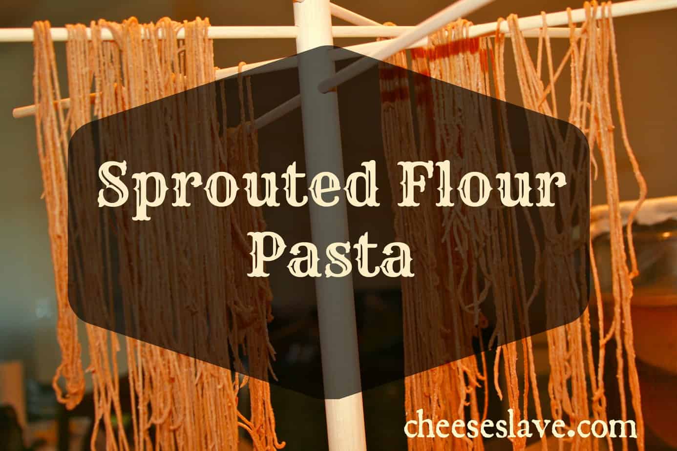 Sprouted Flour Pasta