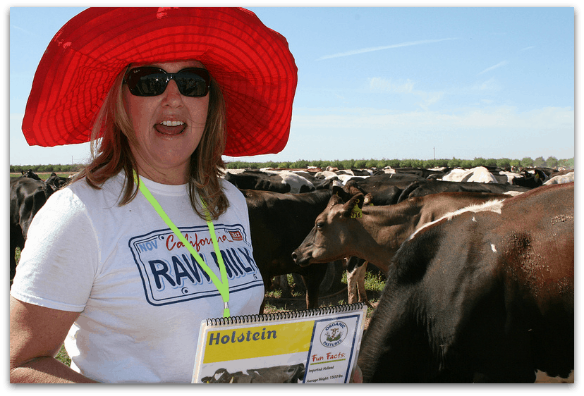 Camping with the Cows at Organic Pastures Dairy