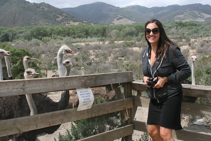 Organic Wine Country Weekend in Southern California part 2 -- Emily feeding ostriches 1