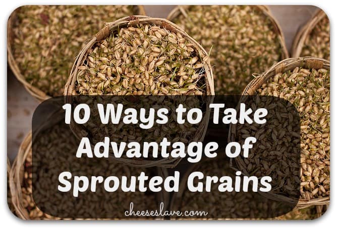 10 Ways to Take Advantage of Sprouted Grains