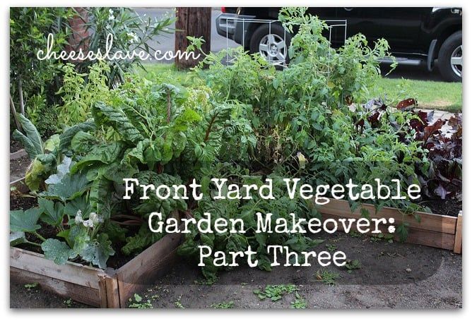 Front Yard Vegetable Garden Makeover Part 3