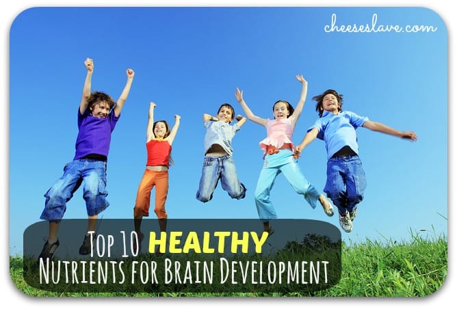 nutrients-brain-development