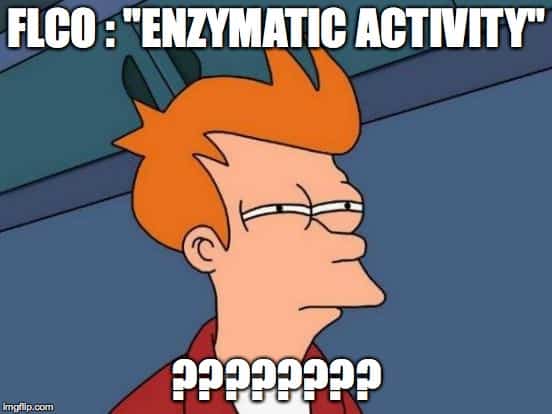 fclo-enzymatic activity
