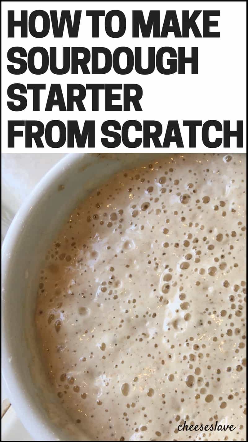 How to Make Sourdough Starter from Scratch