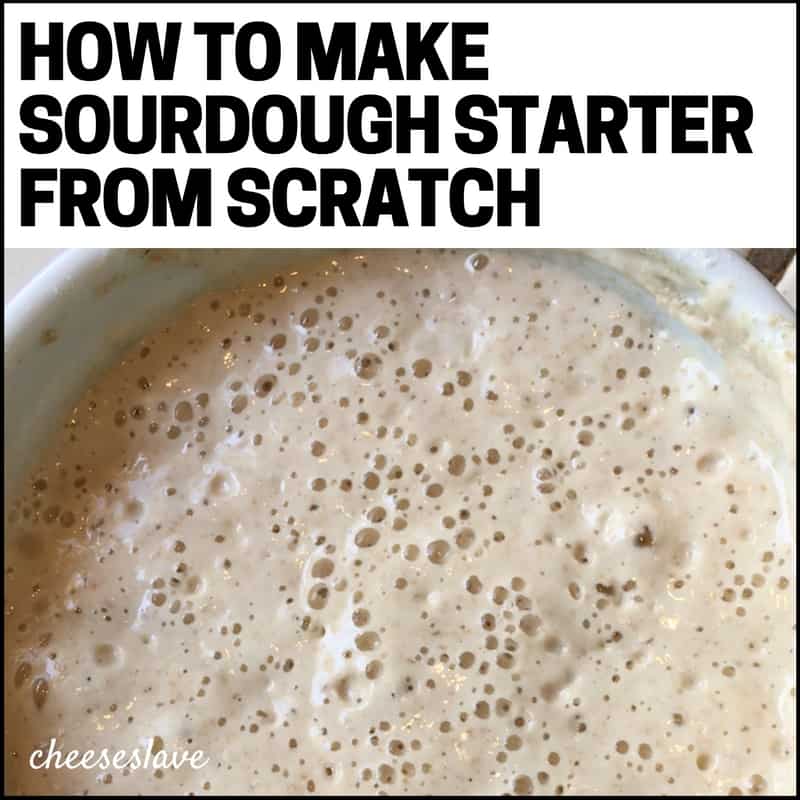 How to Make Sourdough Starter from Scratch