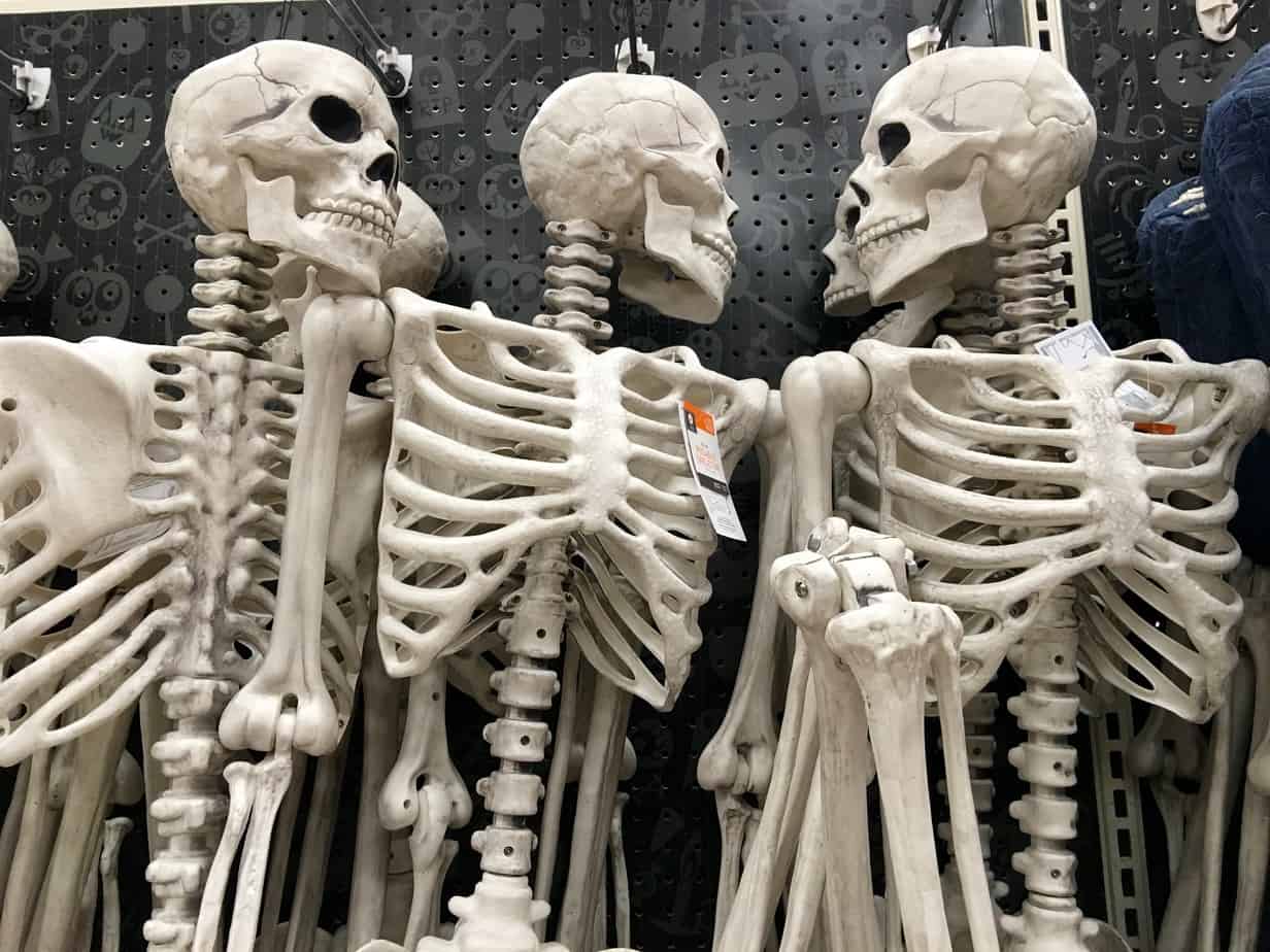 Halloween 2016 Skeletons at Target