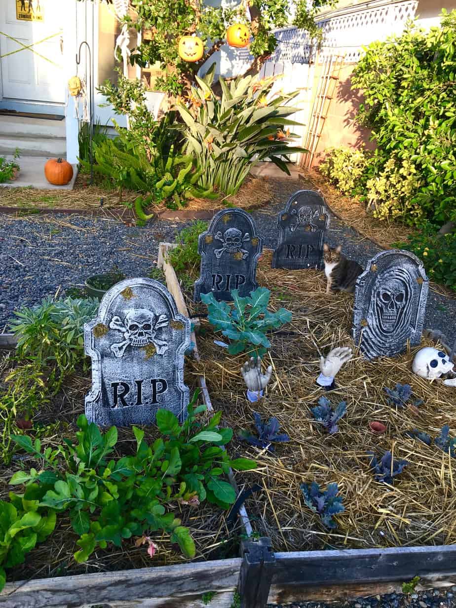 Halloween 2016 Front Yard Garden