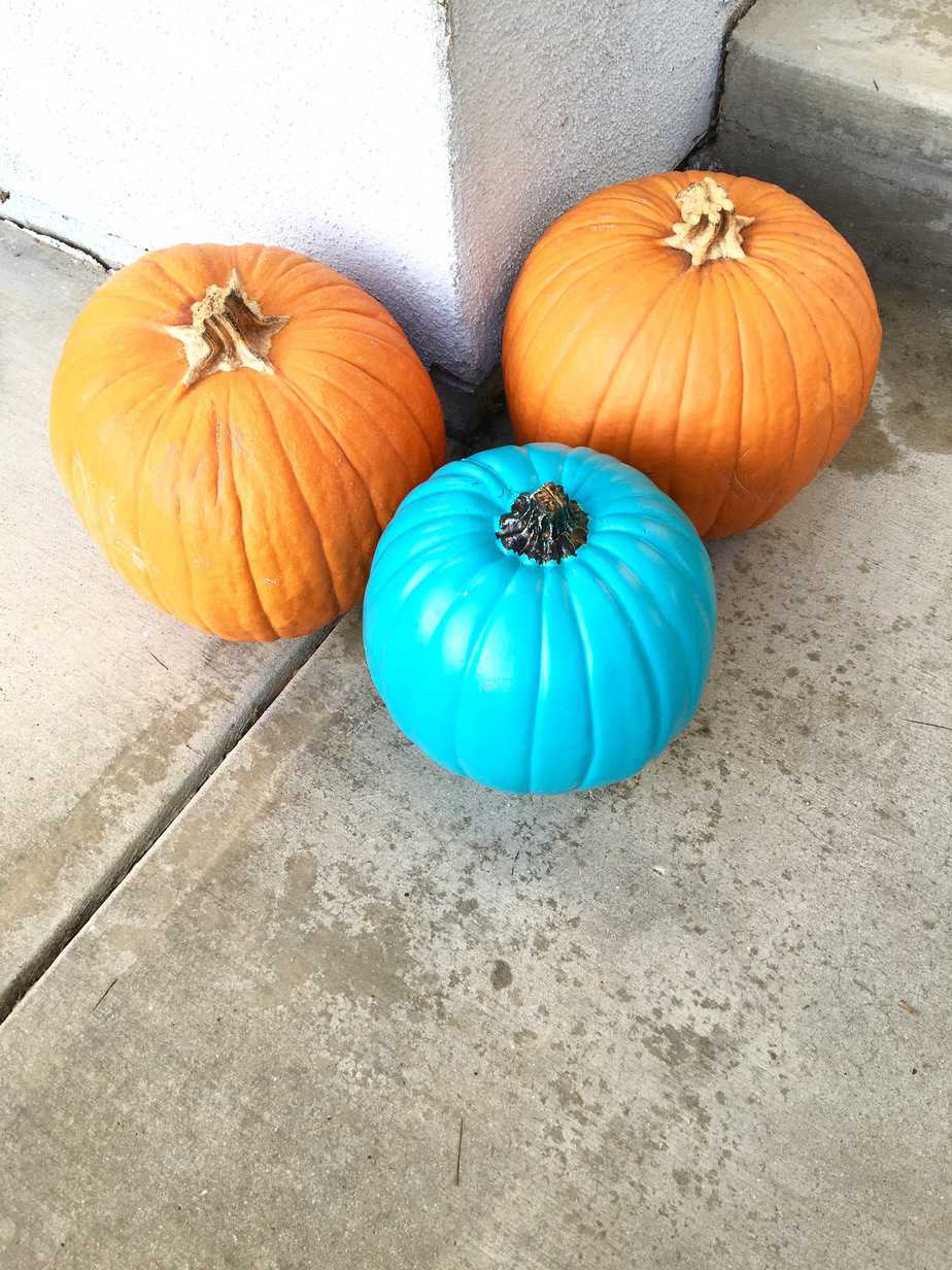 Halloween 2016 Teal Pumpkin