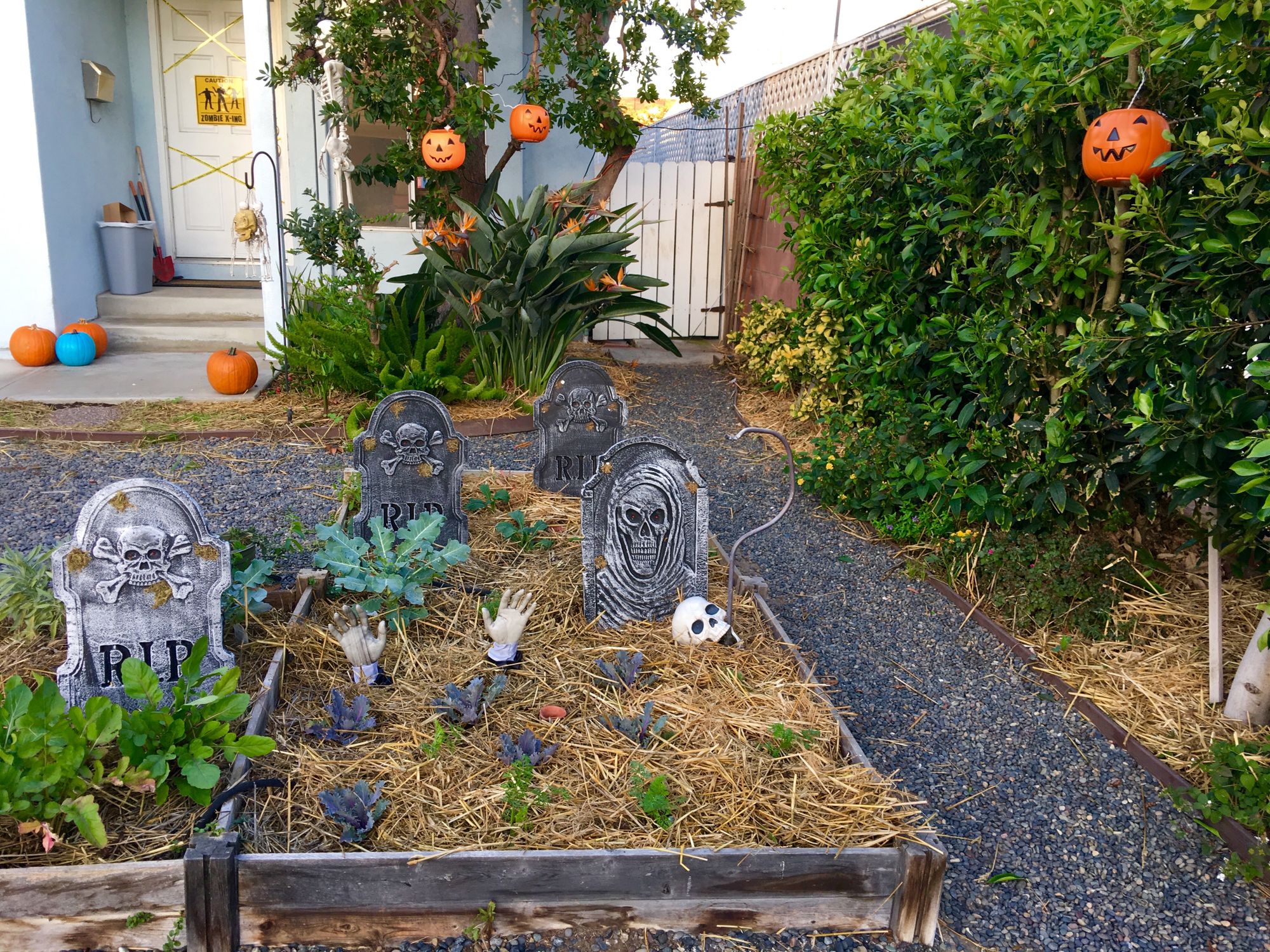 Halloween 2016 front yard