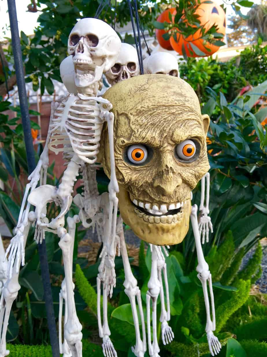 Halloween 2016 Scary zombie head