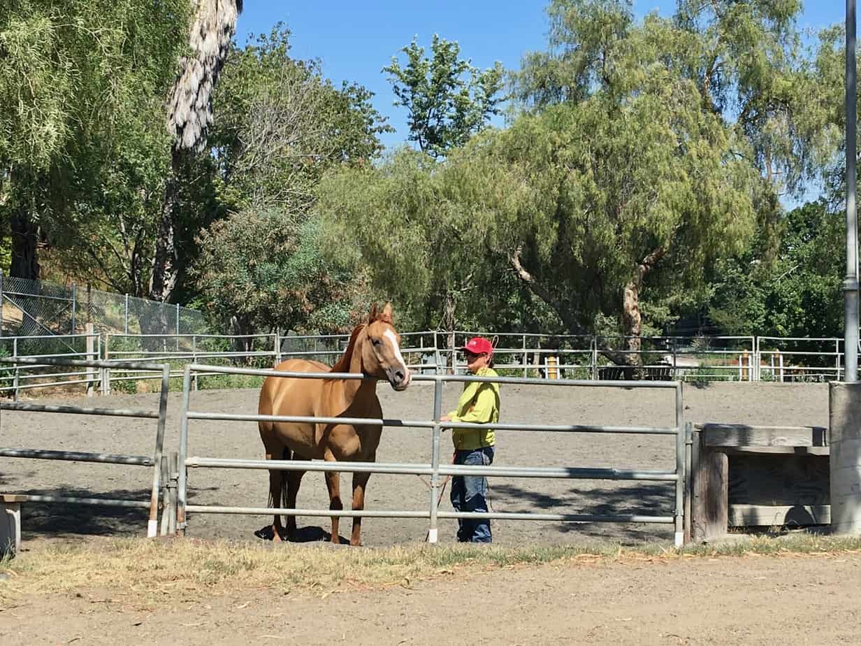 Homeschool Horseback Riding