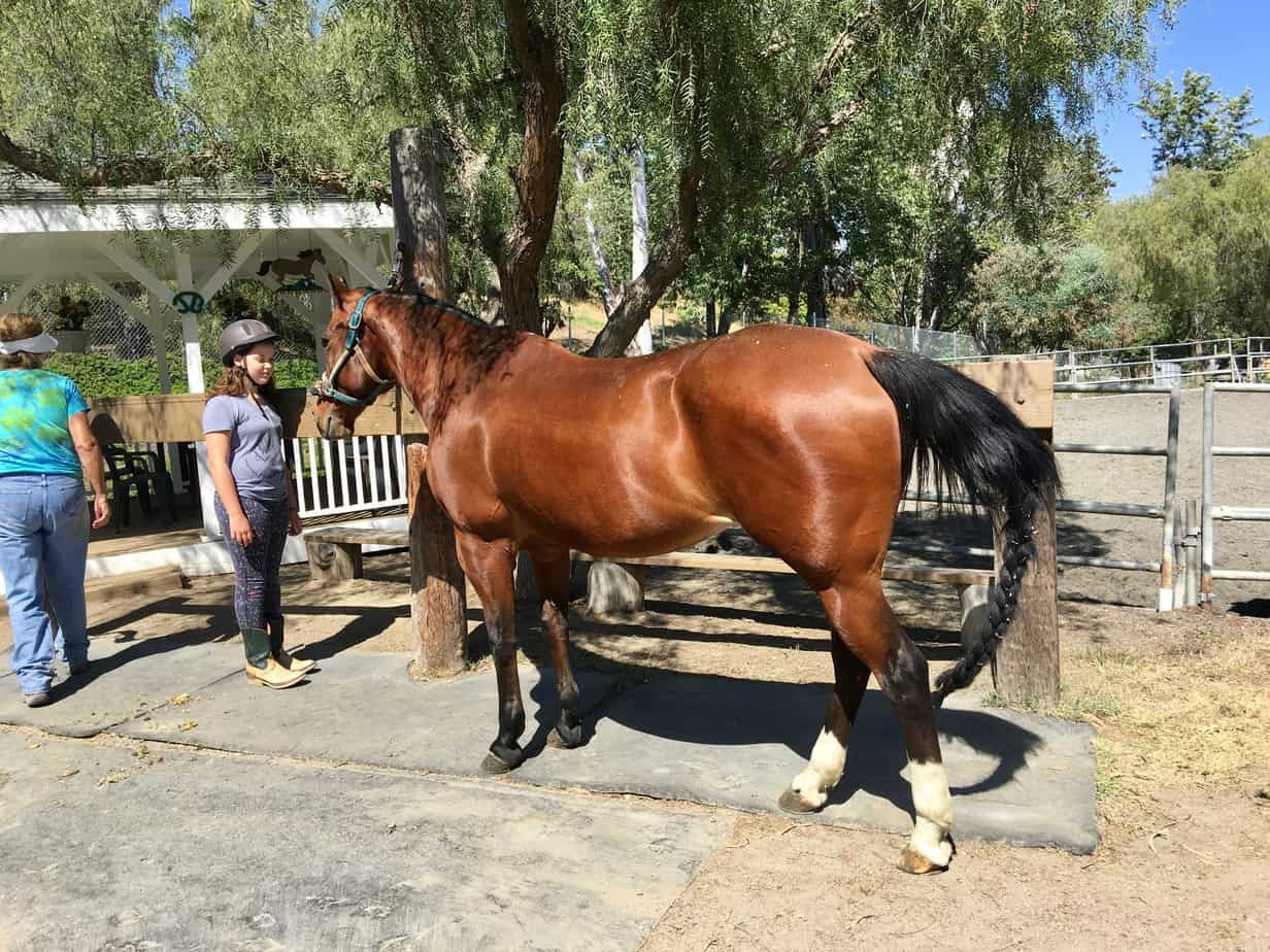 Homeschool Horseback Riding