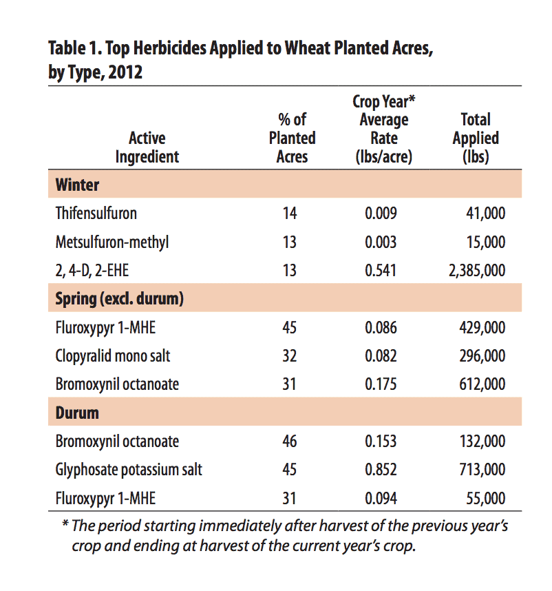 Wheat is Not Toxic, and It Is Not GMO